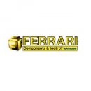 FERRARI srl