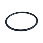 O-RING FILTRO3P EPDM70 D.91,44x5,34 mm ; AA7516362